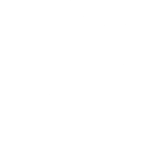 Fussballschule Can Tasdemir